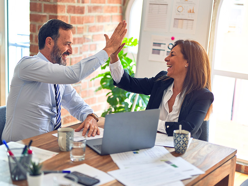 Project overall objective: